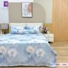 Bộ Chăn Ga Lụa Modal Bamsilk MBS3480 