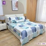  Bộ Chăn Ga Lụa Tencel Coolsilk TCS2861 