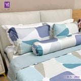  Bộ Chăn Ga Lụa Tencel Coolsilk TCS2861 