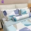 Bộ Chăn Ga Lụa Tencel Coolsilk TCS2861 
