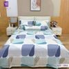  Bộ Chăn Ga Lụa Tencel Coolsilk TCS2861 