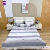  Bộ Chăn Ga Lụa Tencel Coolsilk TCS2860 