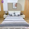  Bộ Chăn Ga Lụa Tencel Coolsilk TCS2860 