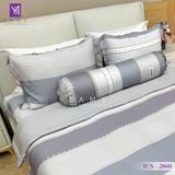  Bộ Chăn Ga Lụa Tencel Coolsilk TCS2860 