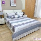  Bộ Chăn Ga Lụa Tencel Coolsilk TCS2860 
