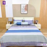  Bộ Chăn Ga Lụa Tencel Coolsilk TCS2859 