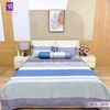  Bộ Chăn Ga Lụa Tencel Coolsilk TCS2859 