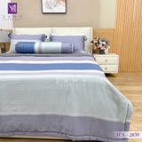  Bộ Chăn Ga Lụa Tencel Coolsilk TCS2859 