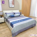  Bộ Chăn Ga Lụa Tencel Coolsilk TCS2859 