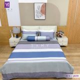  Bộ Chăn Ga Lụa Tencel Coolsilk TCS2859 