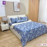  Bộ Chăn Ga Lụa Tencel Coolsilk TCS2858 