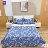  Bộ Chăn Ga Lụa Tencel Coolsilk TCS2858 