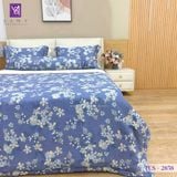  Bộ Chăn Ga Lụa Tencel Coolsilk TCS2858 