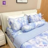  Bộ Chăn Ga Lụa Tencel Coolsilk TCS2857 