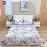  Bộ Chăn Ga Lụa Tencel Coolsilk TCS2862 