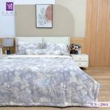  Bộ Chăn Ga Lụa Tencel Coolsilk TCS2864 