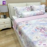  Bộ Chăn Ga Lụa Tencel Coolsilk TCS2865 
