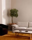  Elysian Van Gogh Sunflower Rug - Thảm dệt tay màu theo yêu cầu 