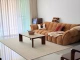  New Neutral Beige Wool Rug 
