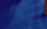  Elysian Klein Blue 