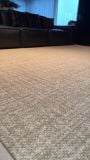  New Neutral Beige Wool Rug 
