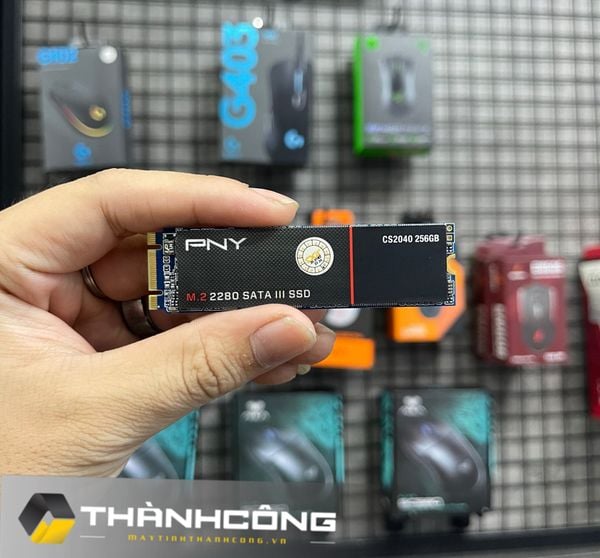 Ổ cứng SSD PNY CS2040 M.2_SATA 2280 256GB USED