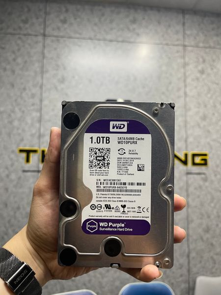Ổ cứng HDD WD 1TB puprle USED