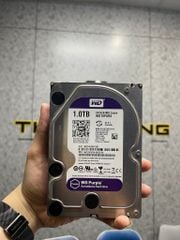 Ổ cứng HDD WD 1TB puprle USED