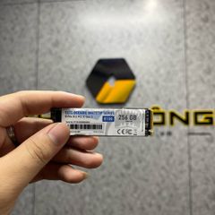Ổ cứng SSD SSTC Oceanic Whitetip E130 256GB NVMe M.2 PCIe Gen 3 BH 10/2027