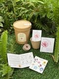  Bộ kit gieo mầm Grow Me - The Bloom Edition 