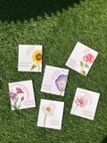  Bộ kit gieo mầm Grow Me - The Bloom Edition 