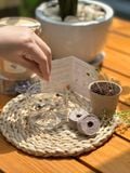  Bộ kit gieo mầm Grow Me - The Bloom Edition 