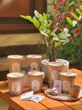  Bộ kit gieo mầm Grow Me - The Bloom Edition 