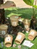  Bộ kit gieo mầm Grow Me - The Bloom Edition 