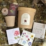  Bộ kit gieo mầm Grow Me - The Bloom Edition 