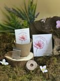  Bộ kit gieo mầm Grow Me - The Bloom Edition 