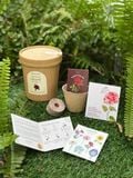  Bộ kit gieo mầm Grow Me - The Bloom Edition 