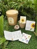  Bộ kit gieo mầm Grow Me - The Bloom Edition 