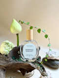  Morning Serenity - Fabric & Room Spray 