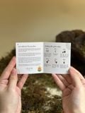  Bộ kit gieo mầm Grow Me - The Bloom Edition 