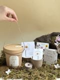  Bộ kit gieo mầm Grow Me - The Bloom Edition 