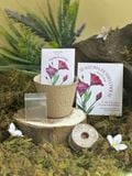  Bộ kit gieo mầm Grow Me - The Bloom Edition 