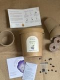 Bộ kit gieo mầm Grow Me - The Bloom Edition 