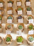  TIERRA - Wedding favors (Quà tặng sự kiện, đám cưới) 