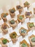  TIERRA - Wedding favors (Quà tặng sự kiện, đám cưới) 