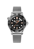 Seamaster Diver 300M