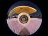 Canon RF 7-14mm F2.8-3.5 L Fisheye STM Mới 100% | Chính Hãng
