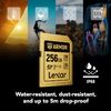 Thẻ nhớ Lexar ARMOR GOLD SDXC UHS-II Card 256GB Mới 100% | Chính Hãng