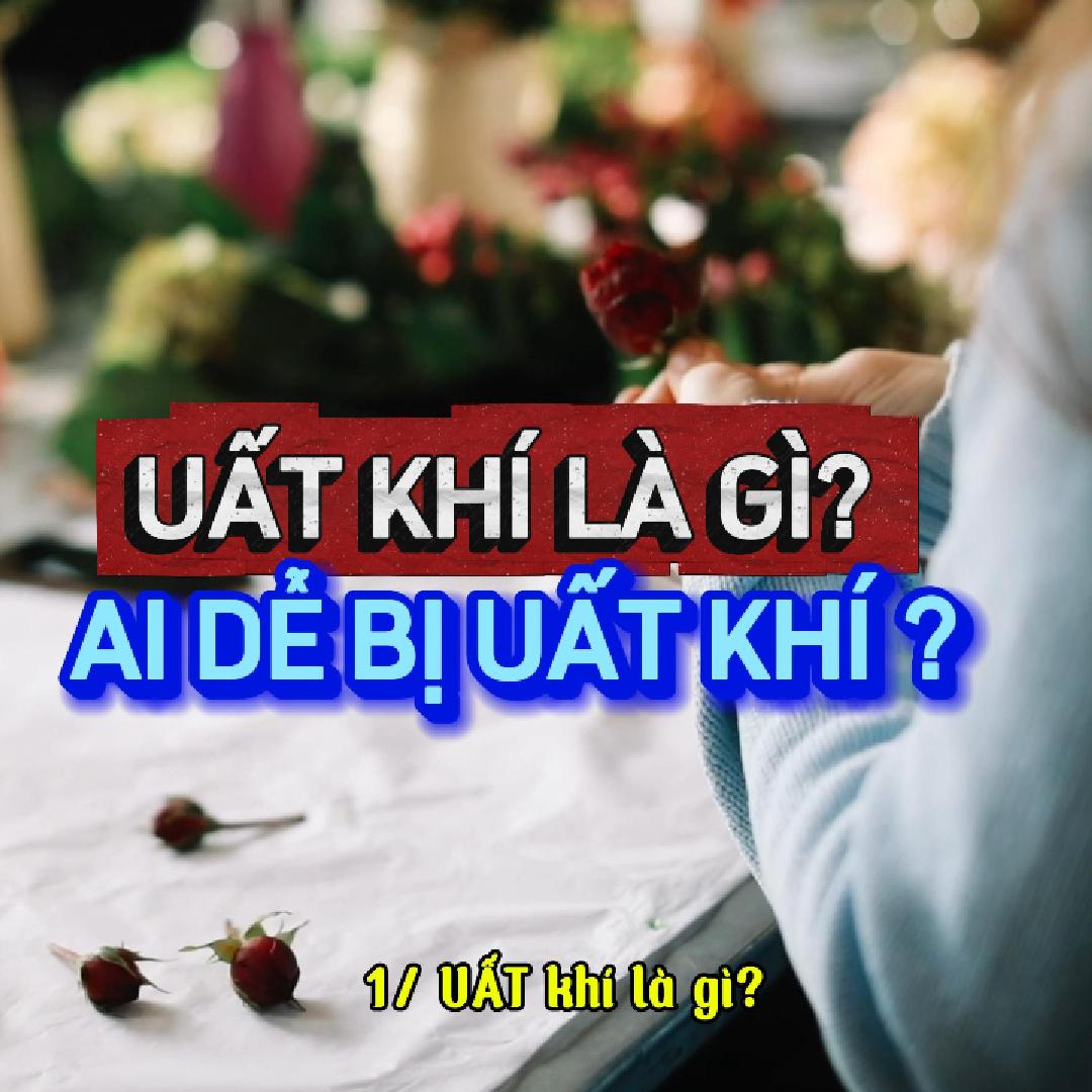 Bộ Sản Phẩm Uất Khí & Sách Tinh Dầu – Giải pháp chữa lành