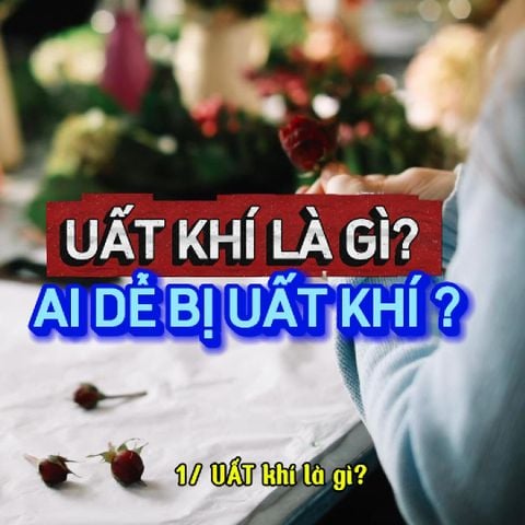 Bộ Sản Phẩm Uất Khí & Sách Tinh Dầu – Giải pháp chữa lành